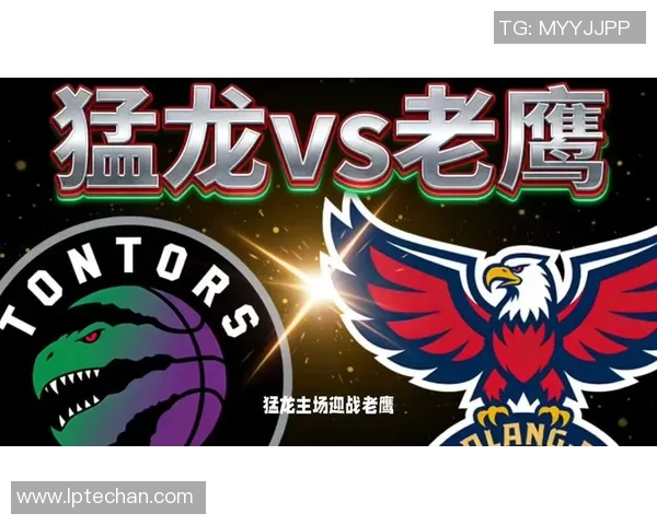 猛龙与老鹰对决分析让球策略及比赛预测详解